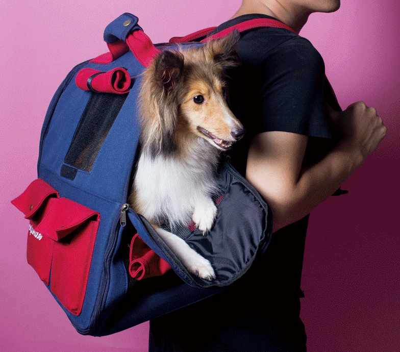 DOGISMILE FASHION OUTDOOR LARGE BACKPACK