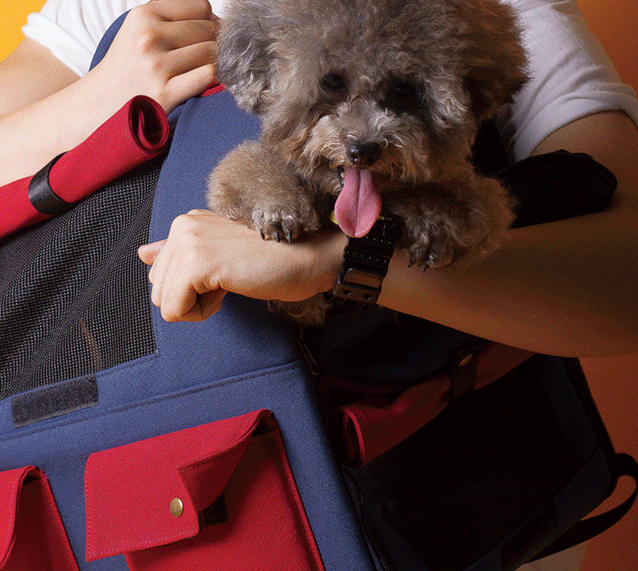 DOGISMILE FASHION OUTDOOR LARGE BACKPACK