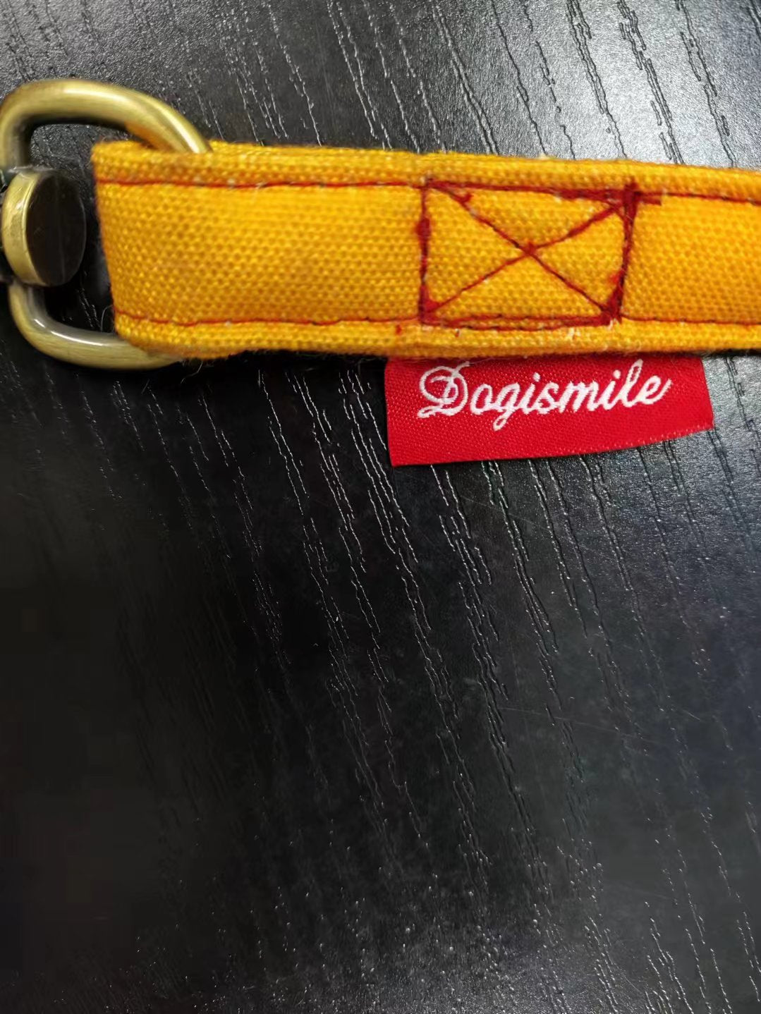 DOGISMILE FASHION LIFESTYLE LEAD